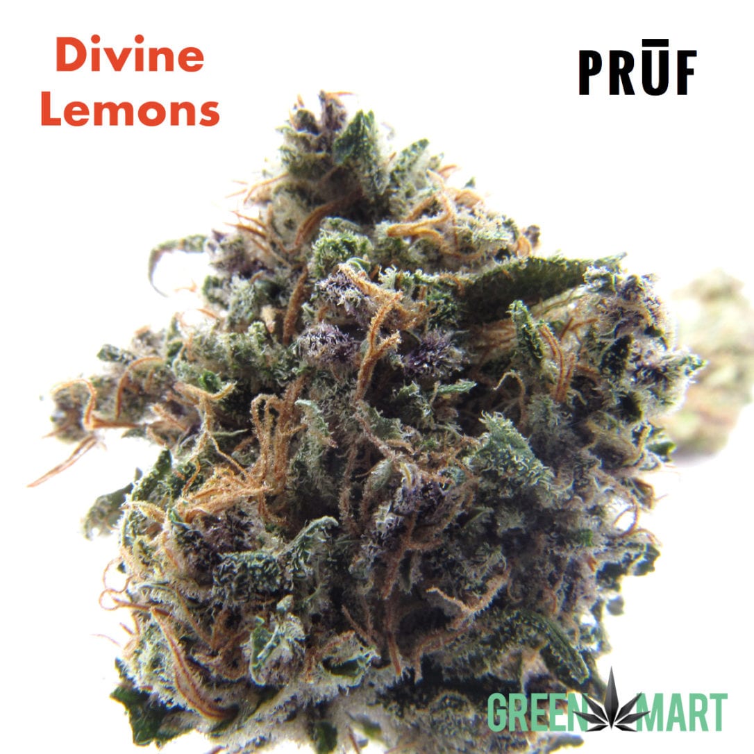 GM Dispensary | Beaverton – Oregon’s Best Dispensary