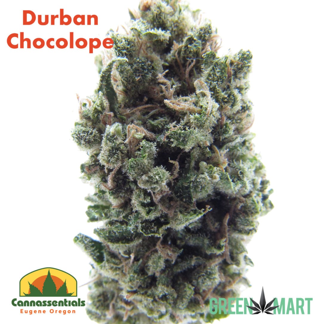 GM Dispensary | Beaverton – Oregon’s Best Dispensary