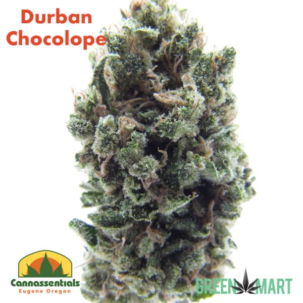 Durban Chocolope by Cannasentials