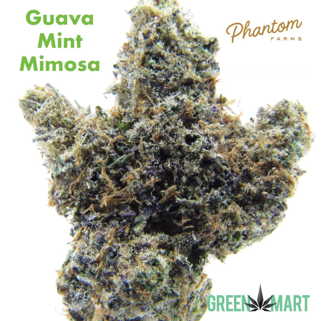 GM Dispensary | Beaverton – Oregon’s Best Dispensary