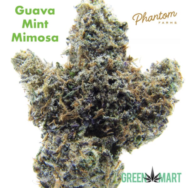 Guava Mint Mimosa by Phantom Farms