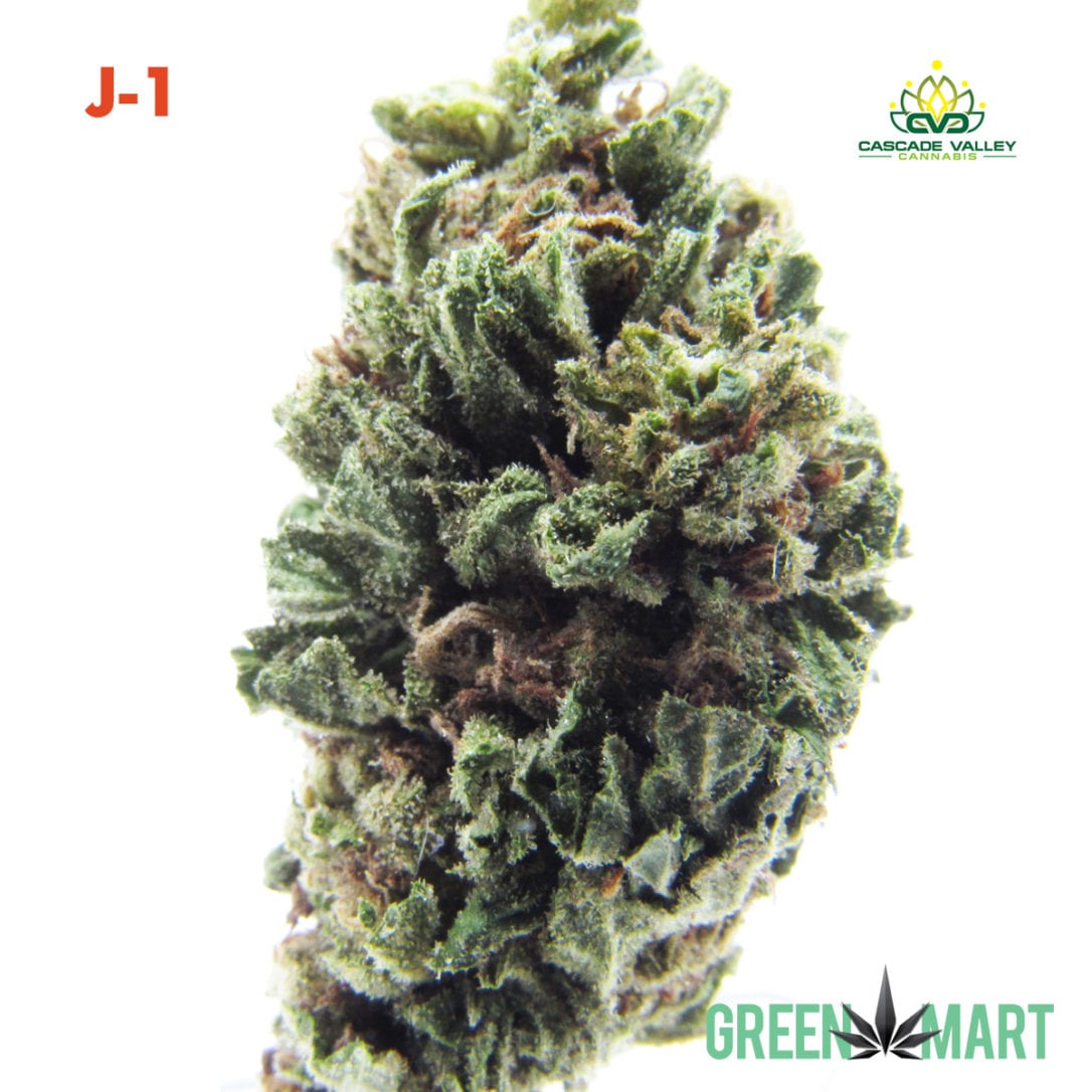 GM Dispensary | Beaverton – Oregon’s Best Dispensary