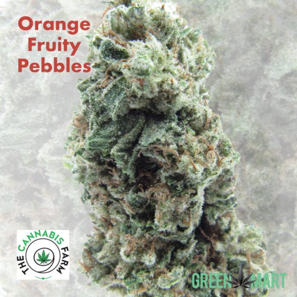 Orange Fruity Pebbles the Cannabis Farm