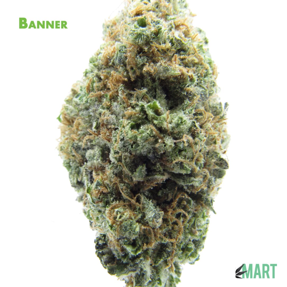 GM Dispensary | Beaverton – Oregon’s Best Dispensary