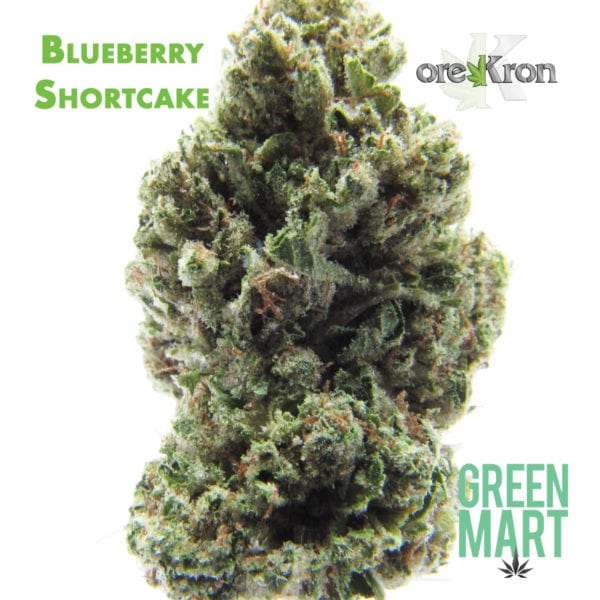 Blueberry Shortcake by Orekron