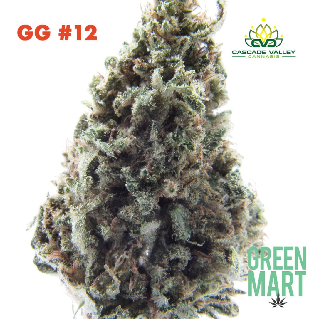 GM Dispensary | Beaverton – Oregon’s Best Dispensary