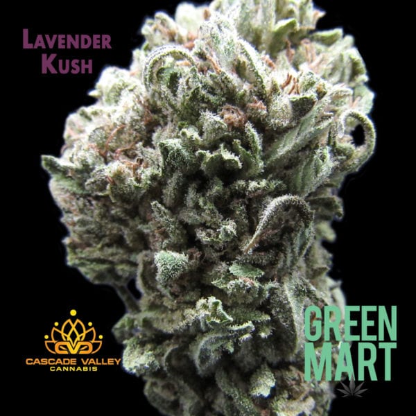 Lavender Kush by Cascade Valley Cannabis