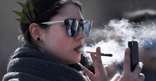 Students binge drink less when cannabis is legal: study