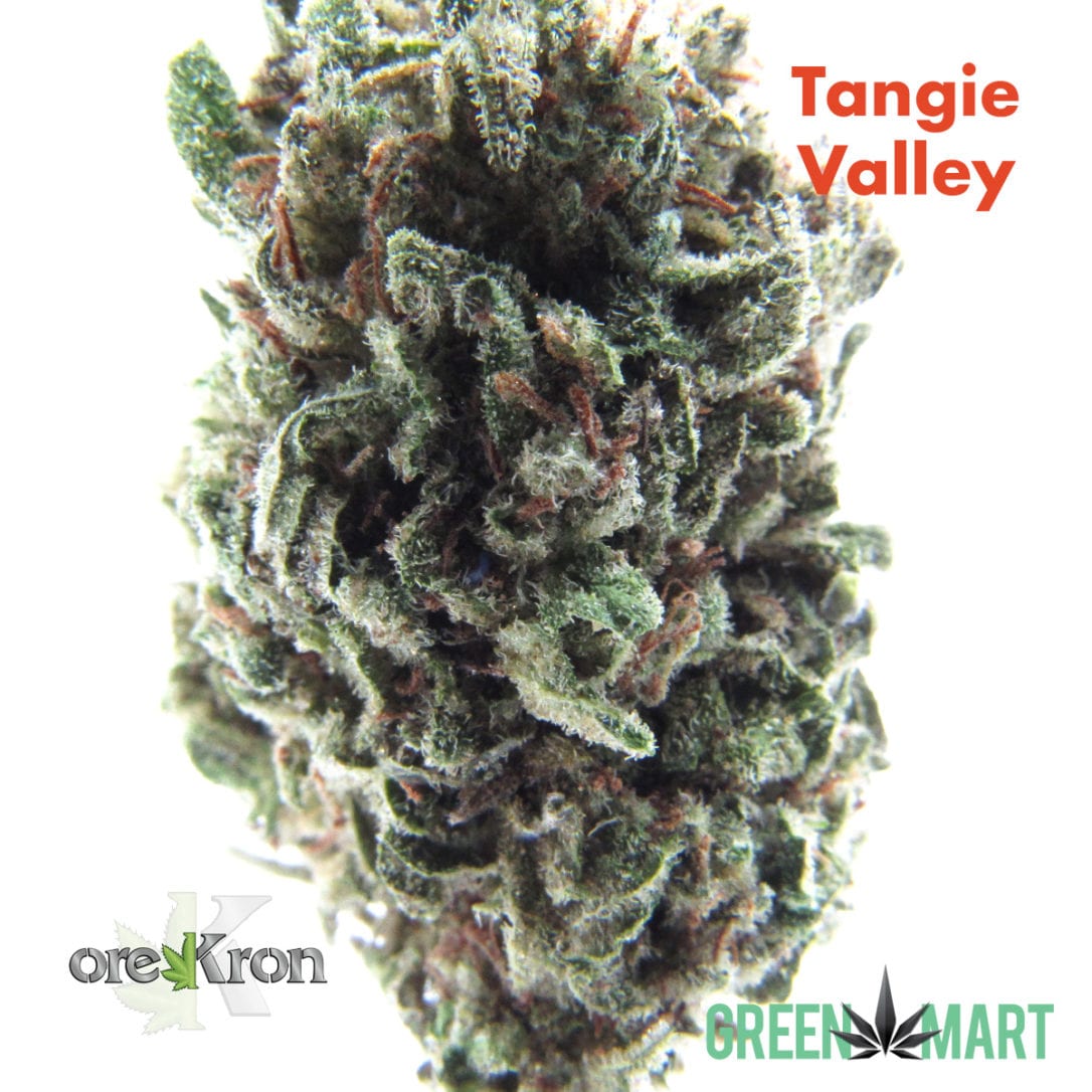 GM Dispensary | Beaverton – Oregon’s Best Dispensary