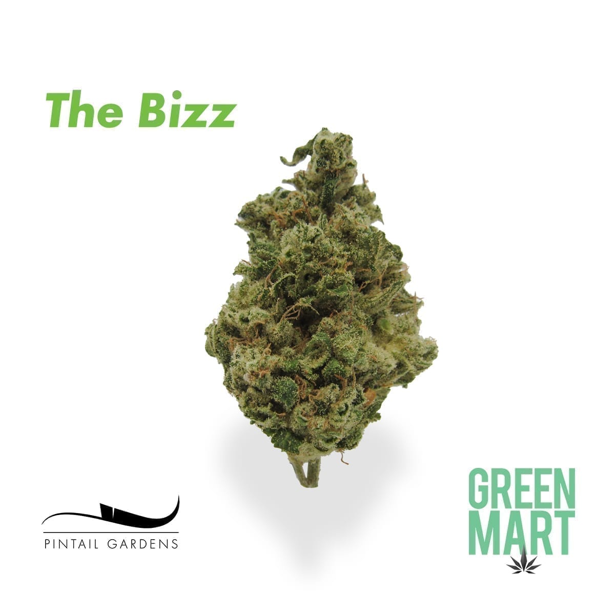 GM Dispensary | Beaverton – Oregon’s Best Dispensary