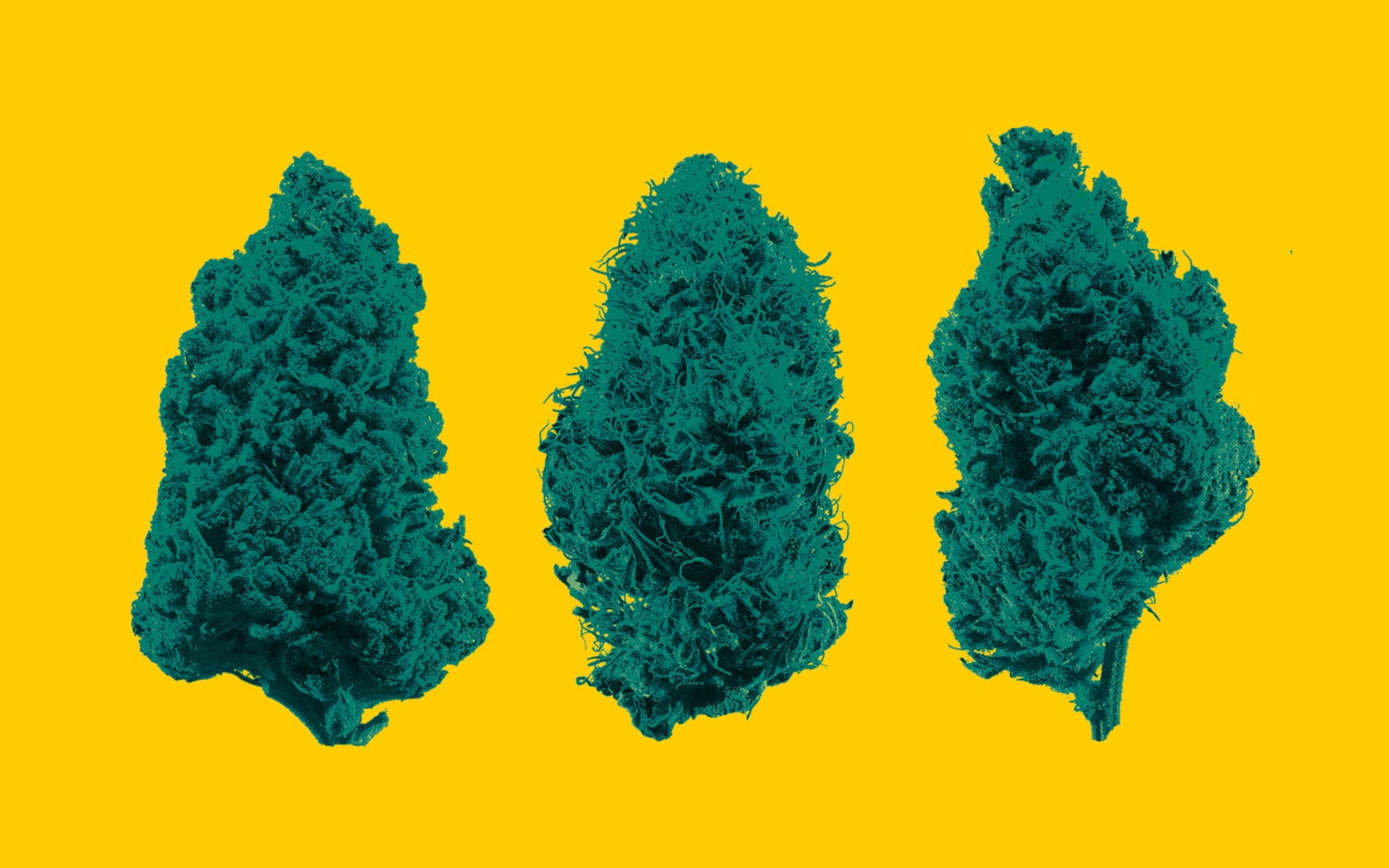 (Leafly)