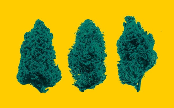 (Leafly)