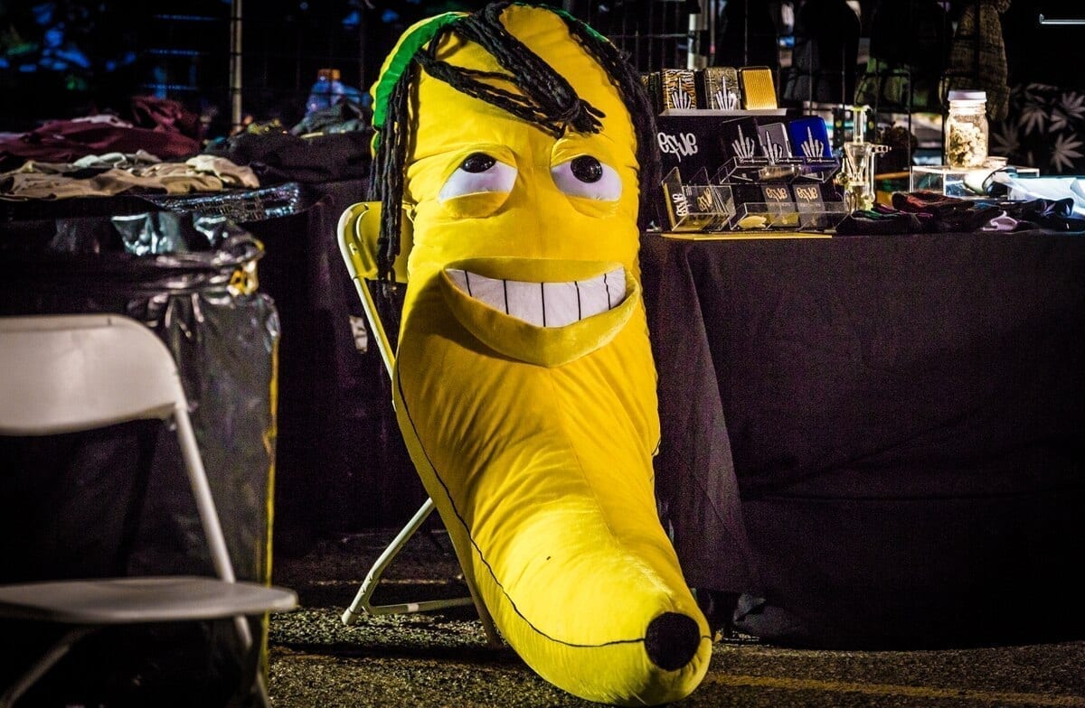 Cannabis Cup 2016. (Cannabis Reports)