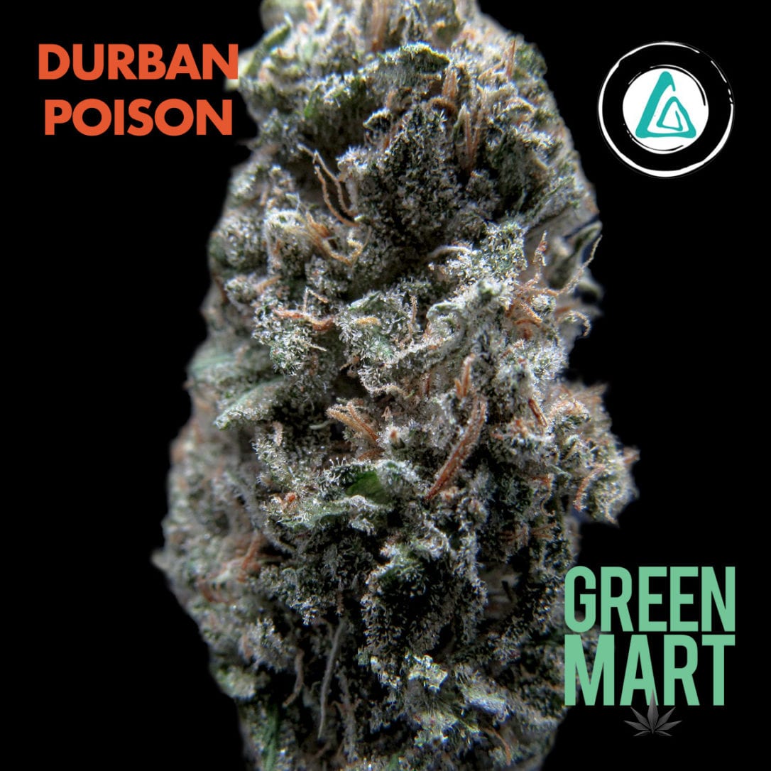 GM Dispensary | Beaverton – Oregon’s Best Dispensary