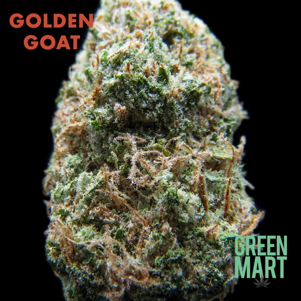GM Dispensary | Beaverton – Oregon’s Best Dispensary