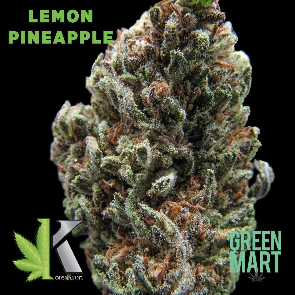 GM Dispensary | Beaverton – Oregon’s Best Dispensary