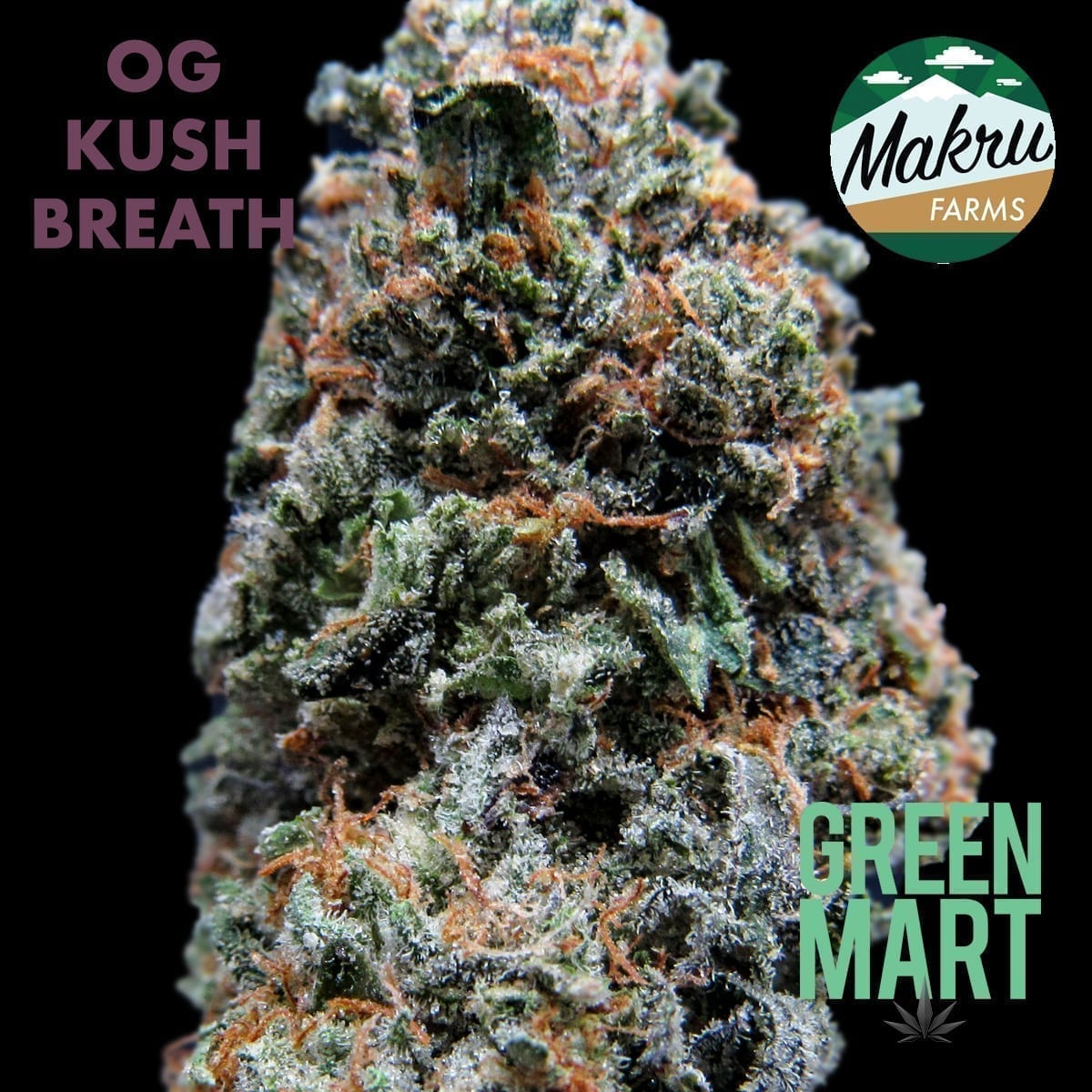 GM Dispensary | Beaverton – Oregon’s Best Dispensary