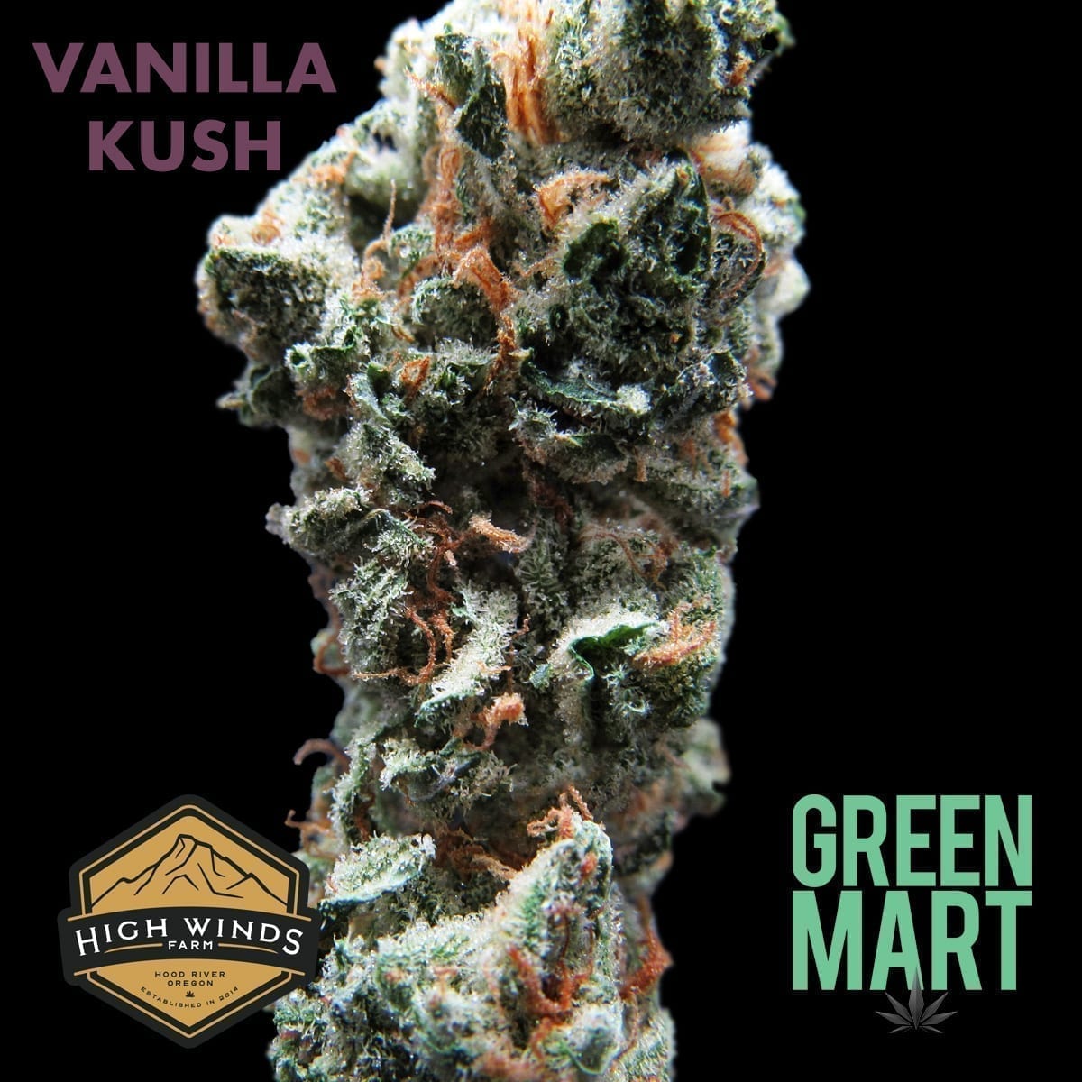 GM Dispensary | Beaverton – Oregon’s Best Dispensary