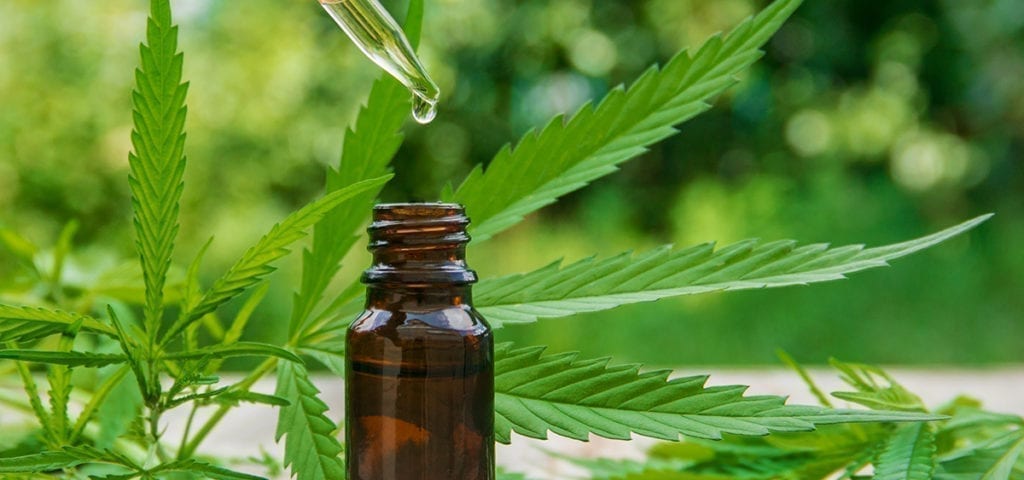 https://www.ganjapreneur.com/oregon-raises-thc-limits-for-hemp-extracts/