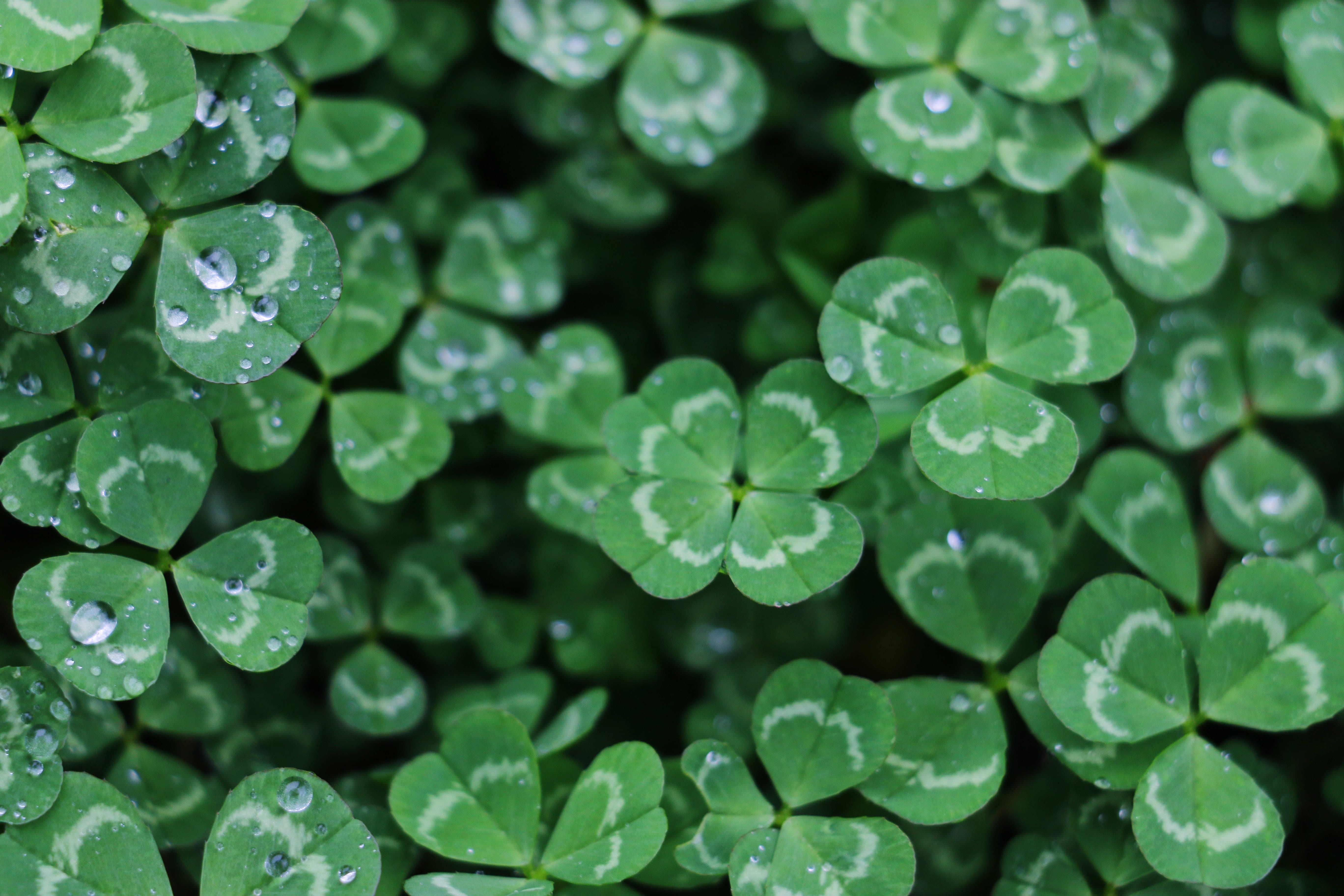 Photo by Yan Ming on Unsplash