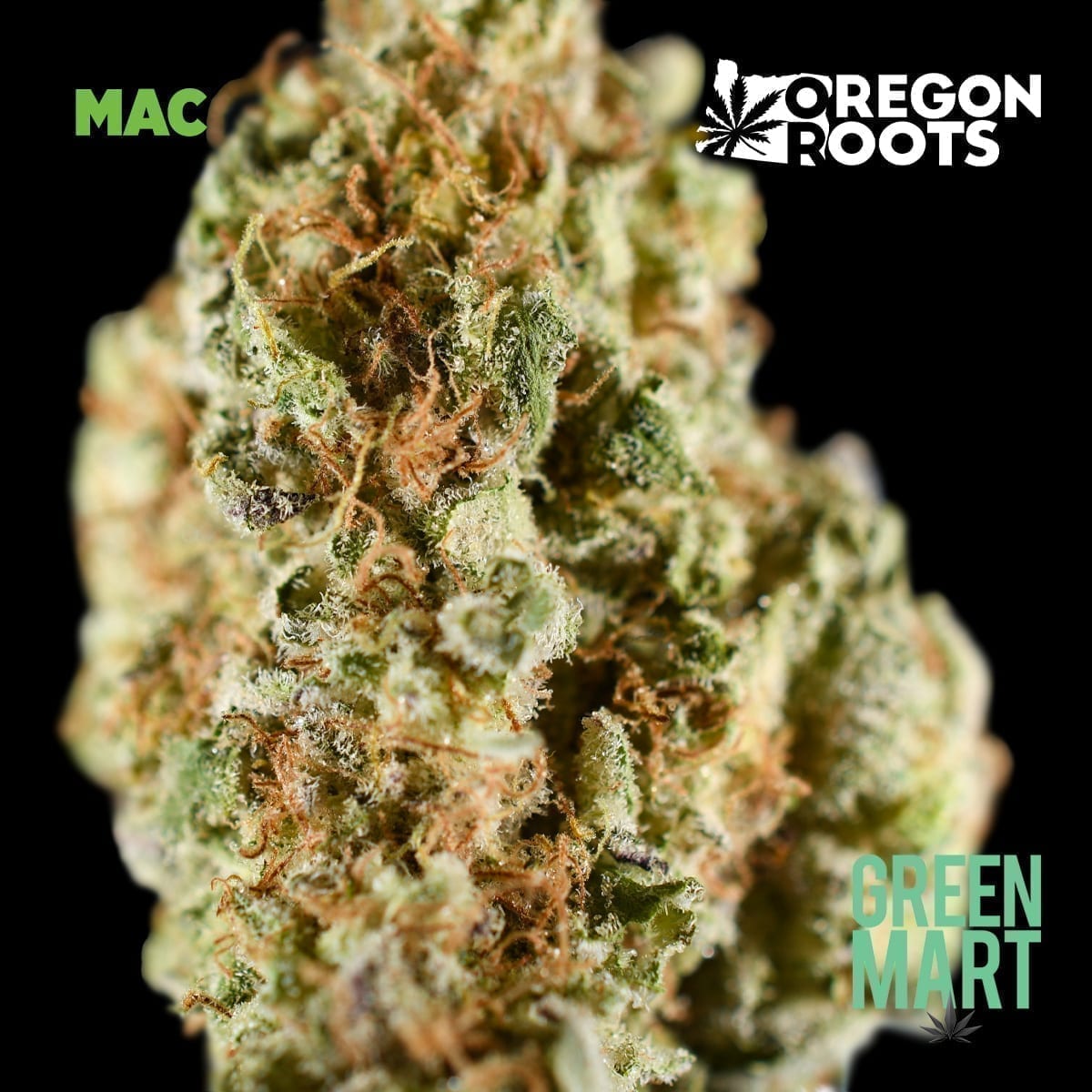 GM Dispensary | Beaverton – Oregon’s Best Dispensary