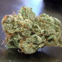 GM Dispensary | Beaverton – Oregon’s Best Dispensary
