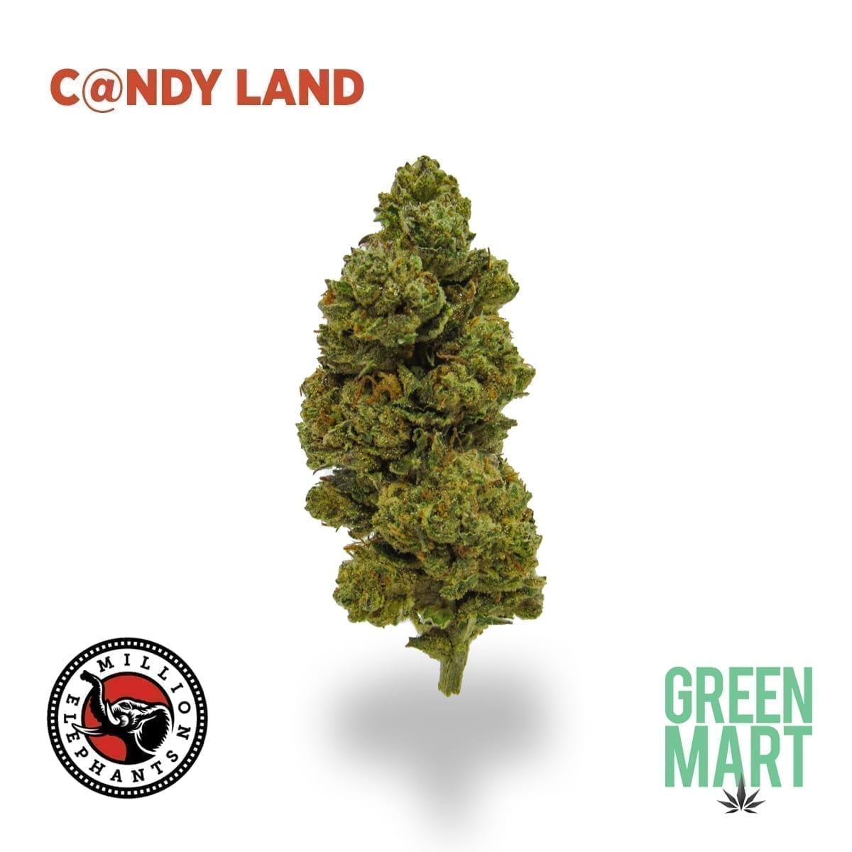 GM Dispensary | Beaverton – Oregon’s Best Dispensary