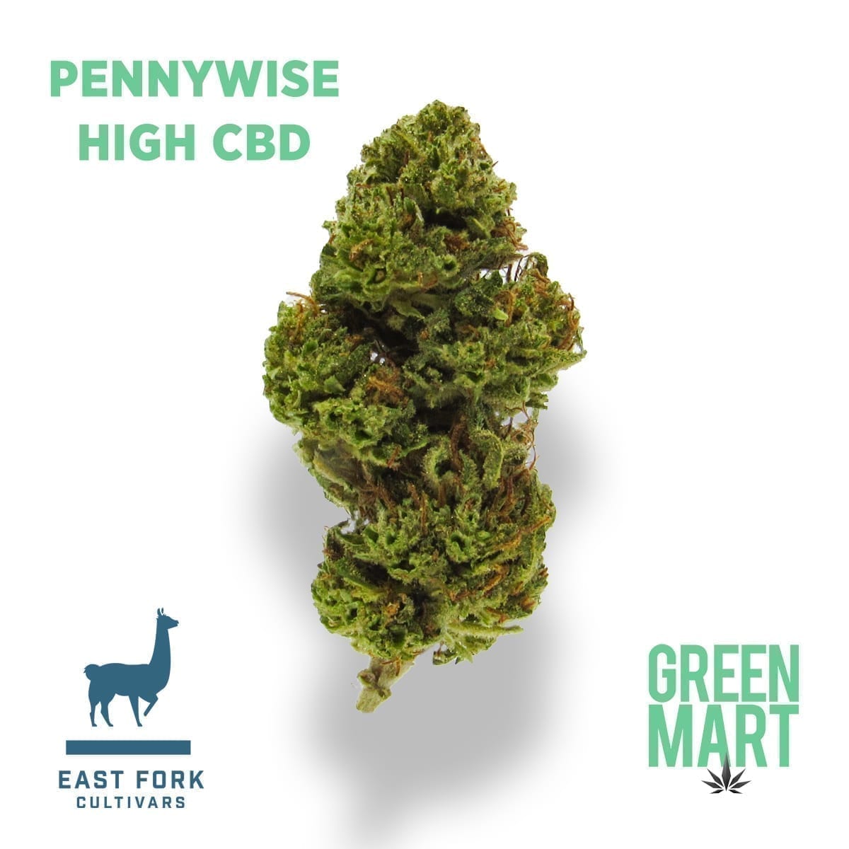 GM Dispensary | Beaverton – Oregon’s Best Dispensary