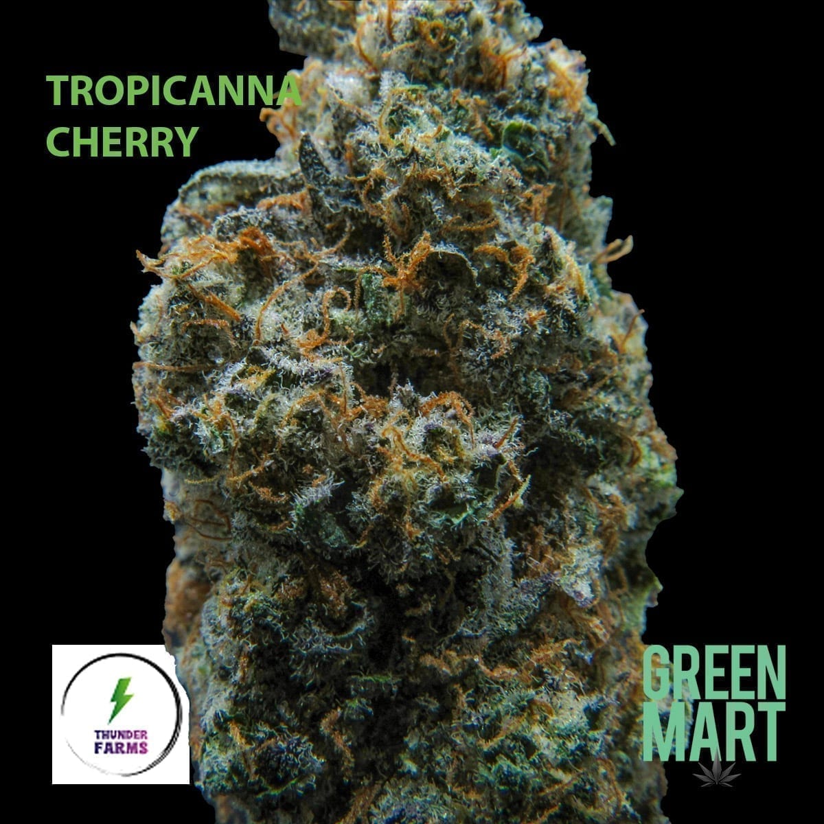 GM Dispensary | Beaverton – Oregon’s Best Dispensary