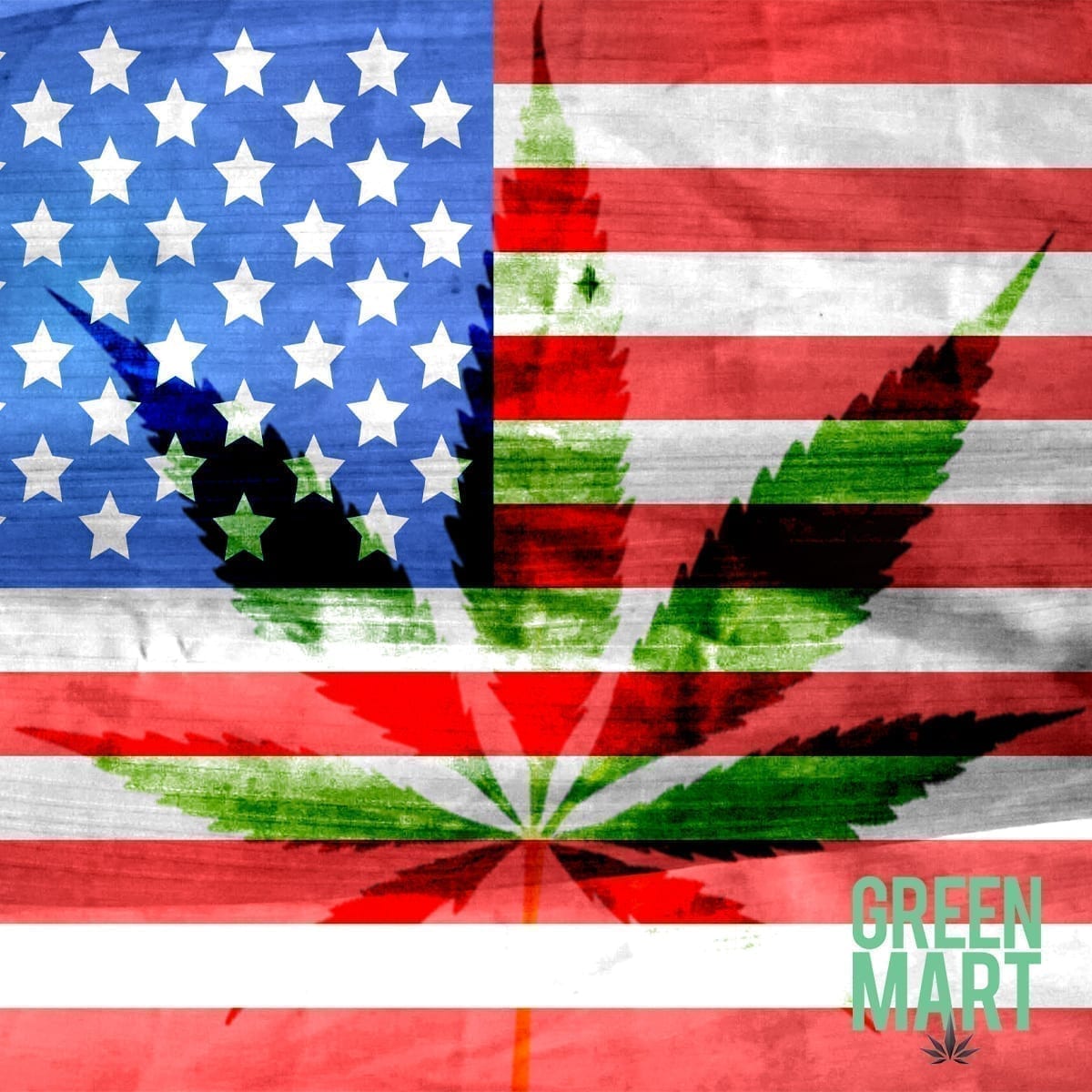 Memorial Day Flag Leaf