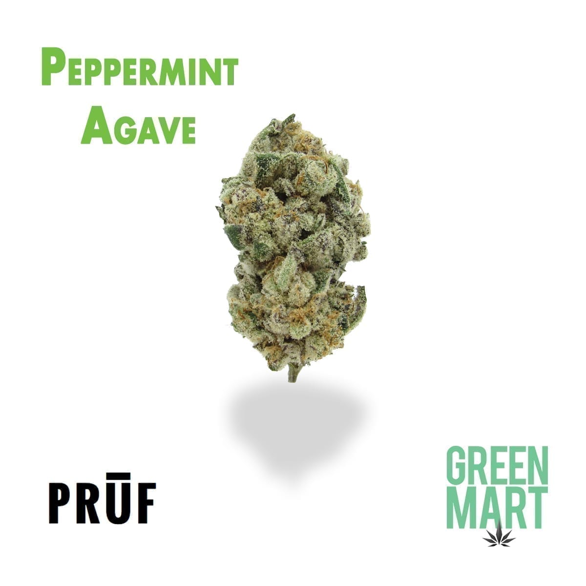 GM Dispensary | Beaverton – Oregon’s Best Dispensary