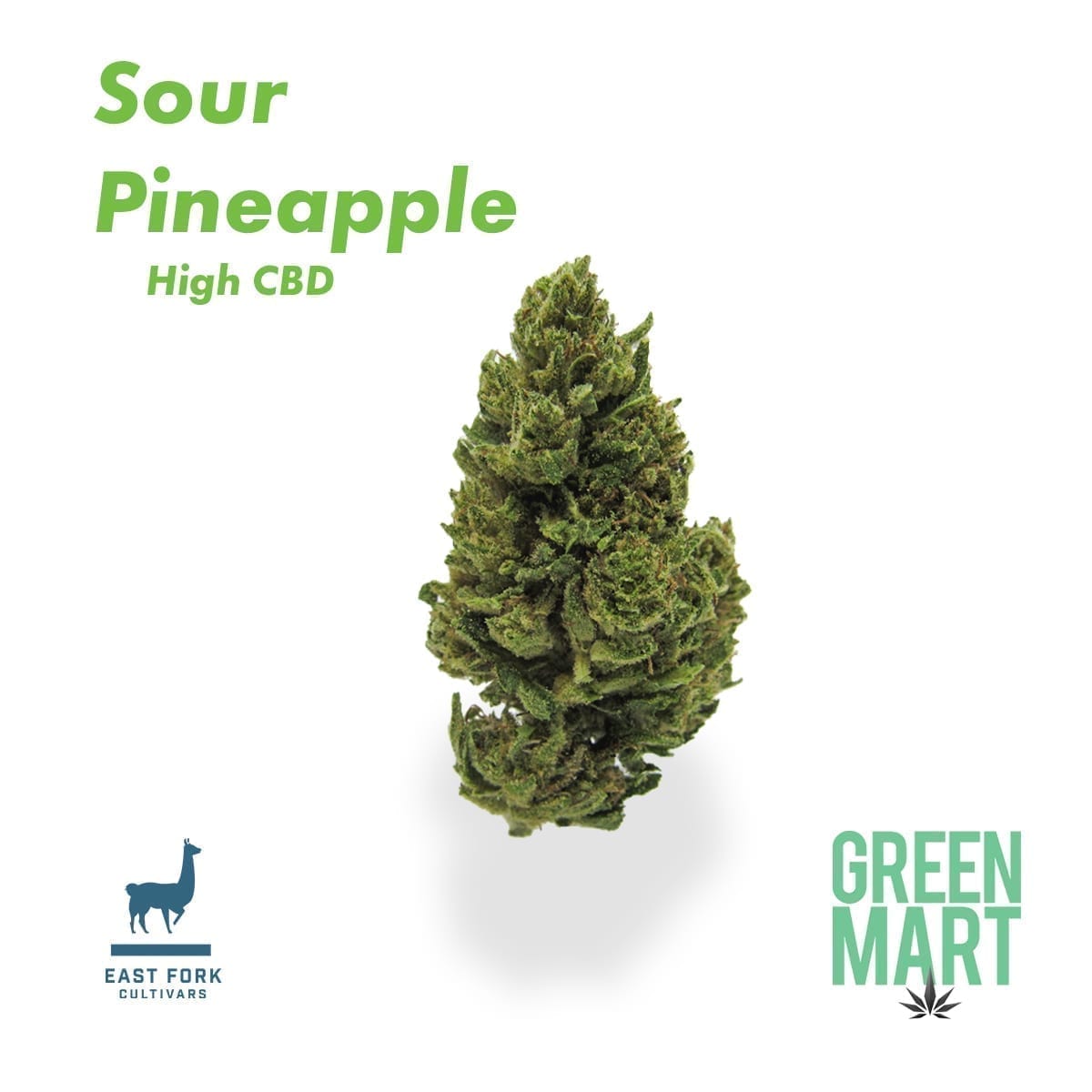 GM Dispensary | Beaverton – Oregon’s Best Dispensary