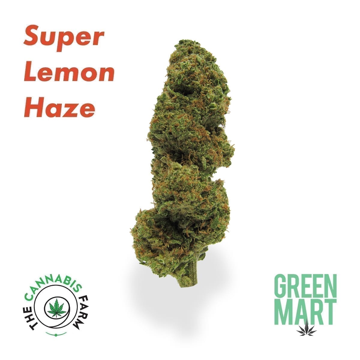 GM Dispensary | Beaverton – Oregon’s Best Dispensary