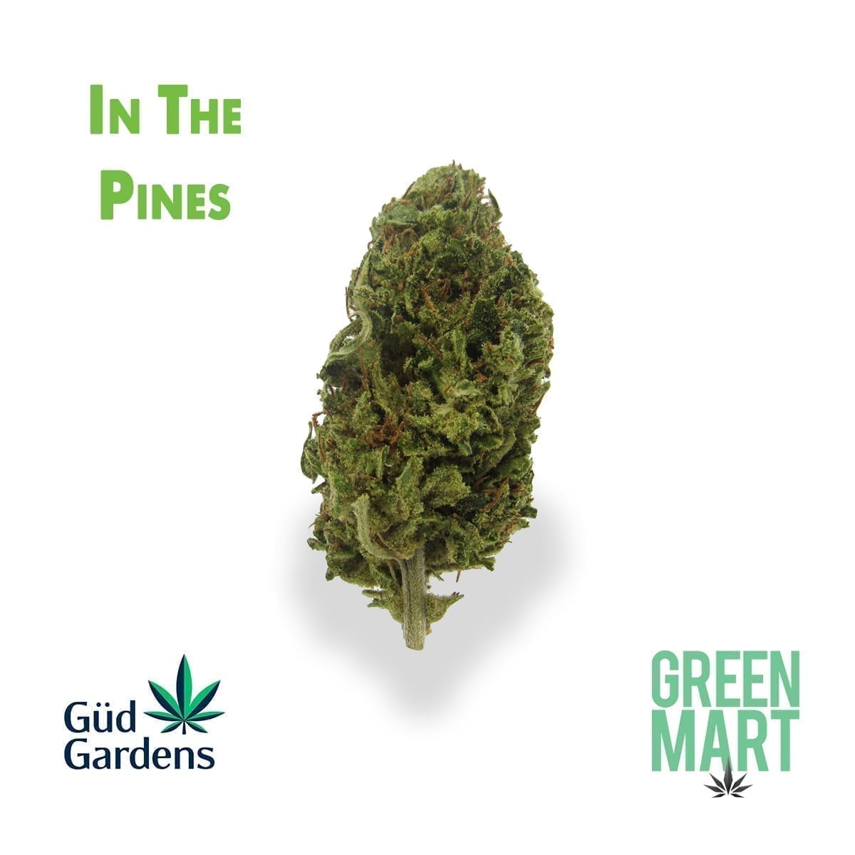 GM Dispensary | Beaverton – Oregon’s Best Dispensary