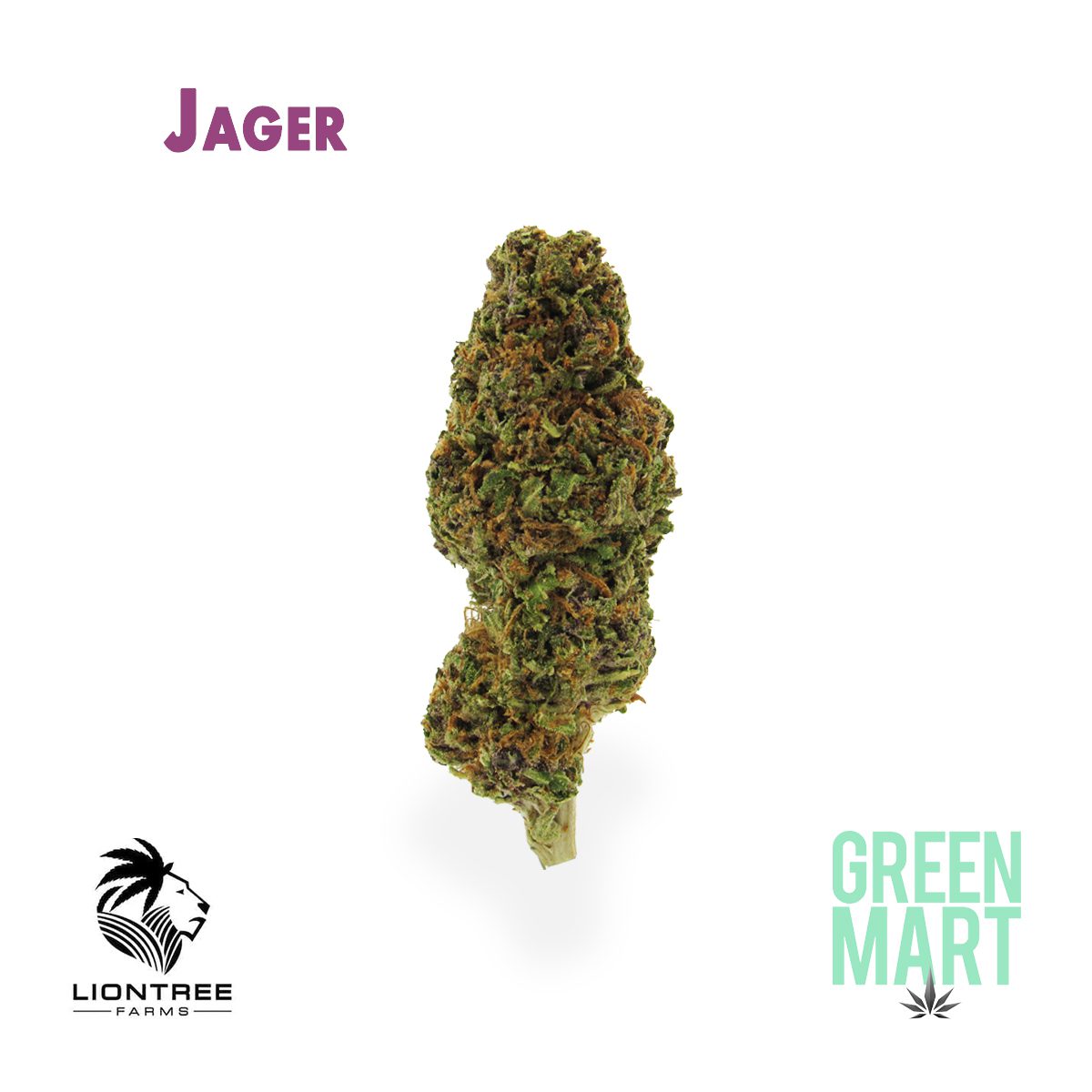 GM Dispensary | Beaverton – Oregon’s Best Dispensary