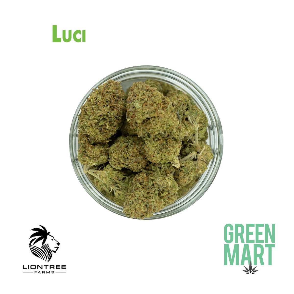 GM Dispensary | Beaverton – Oregon’s Best Dispensary