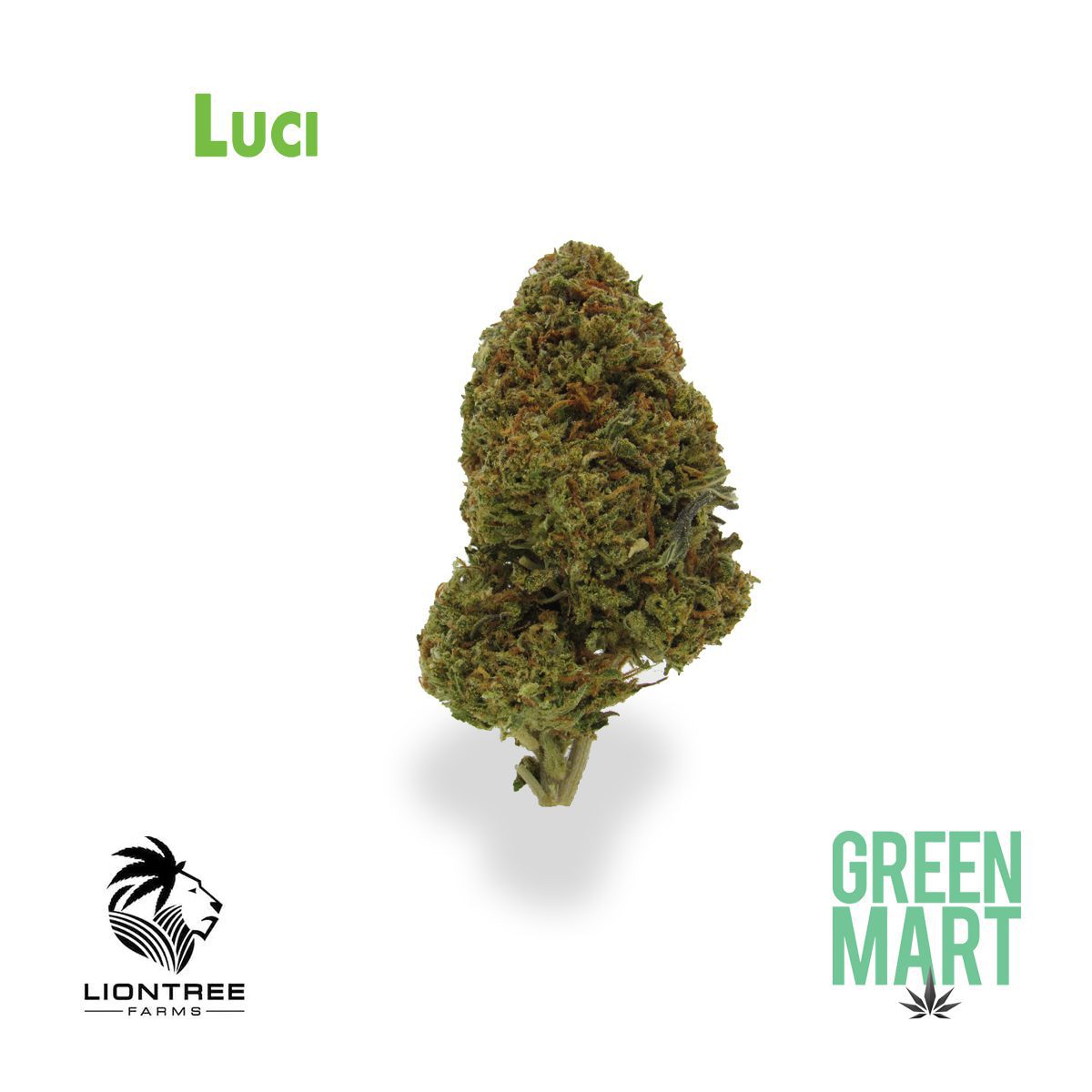 GM Dispensary | Beaverton – Oregon’s Best Dispensary