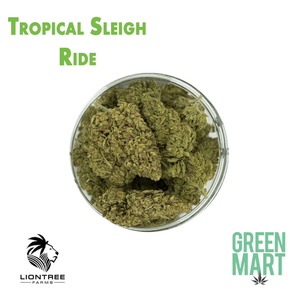 GM Dispensary | Beaverton – Oregon’s Best Dispensary