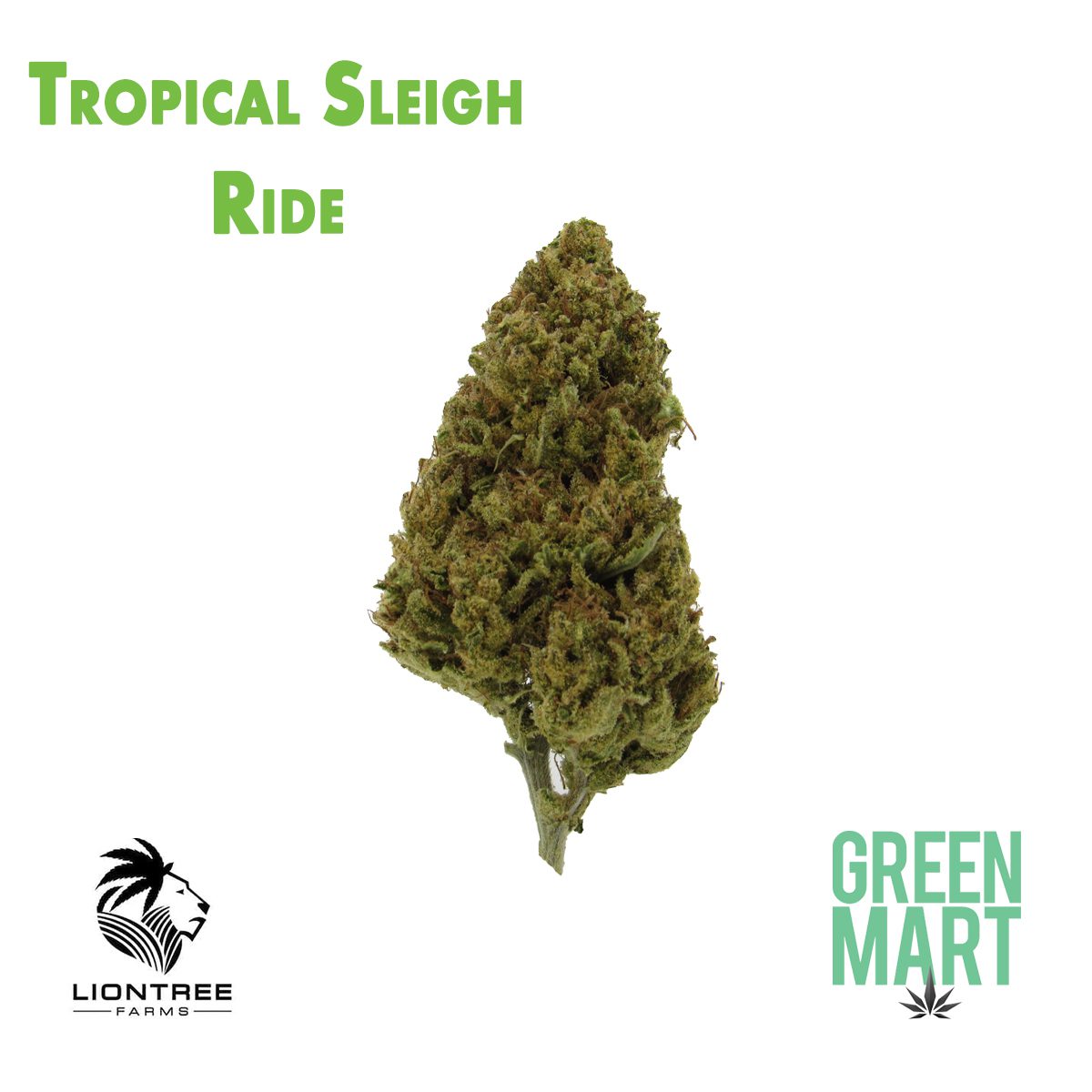 GM Dispensary | Beaverton – Oregon’s Best Dispensary