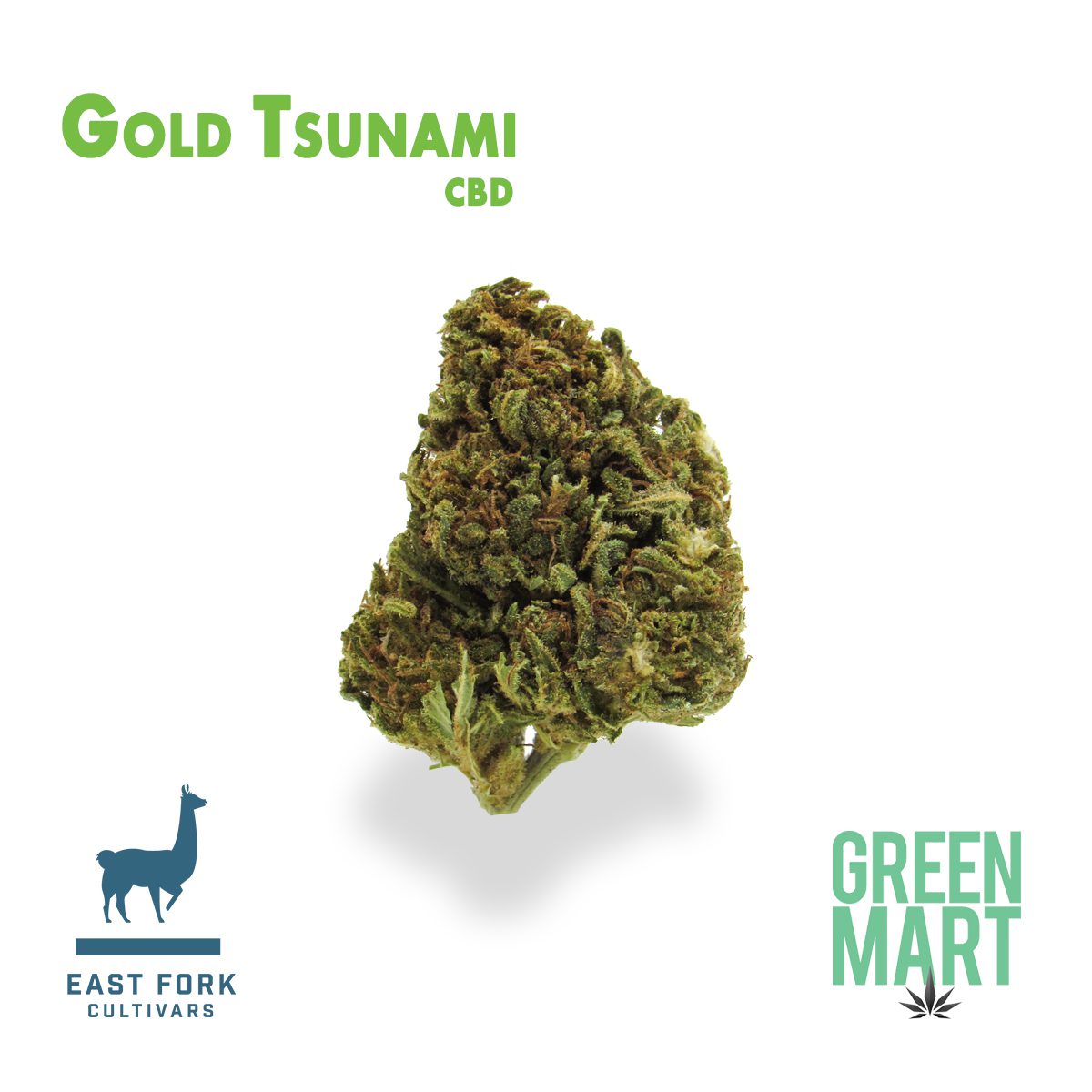 GM Dispensary | Beaverton – Oregon’s Best Dispensary