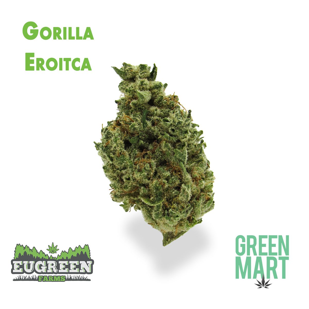 GM Dispensary | Beaverton – Oregon’s Best Dispensary