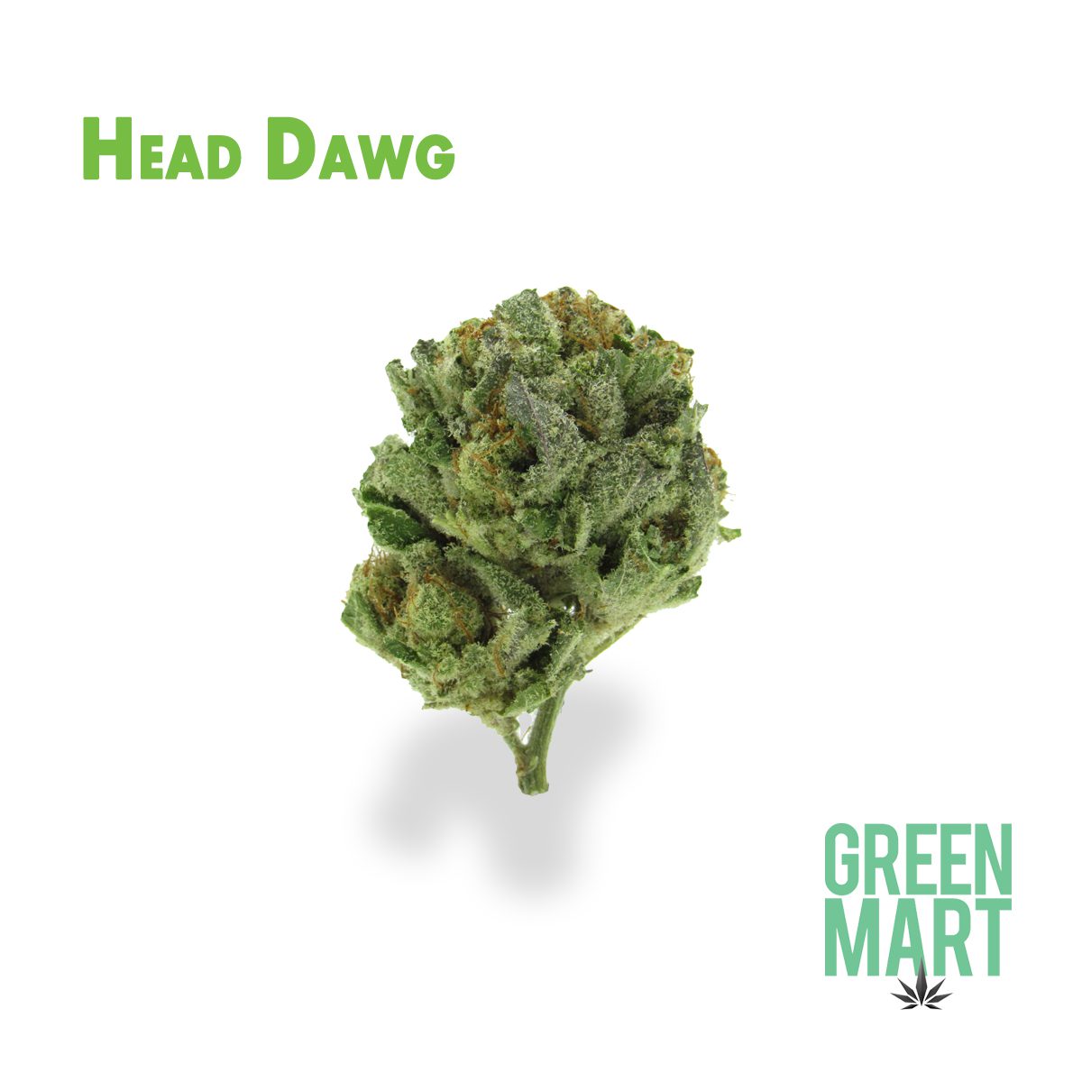 GM Dispensary | Beaverton – Oregon’s Best Dispensary