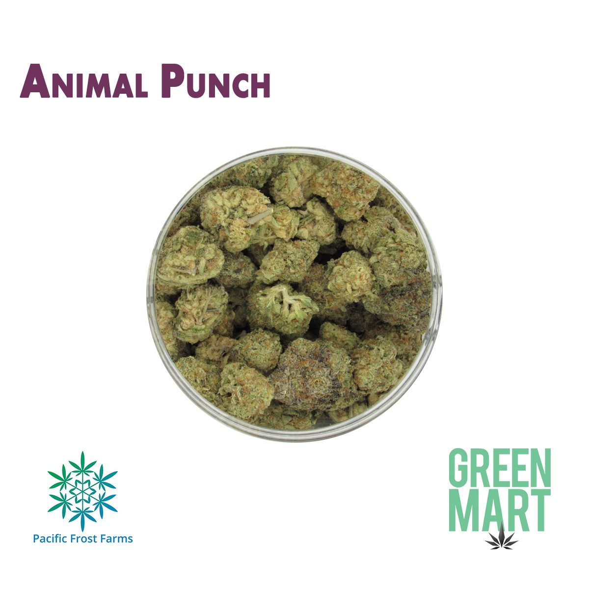 GM Dispensary | Beaverton – Oregon’s Best Dispensary