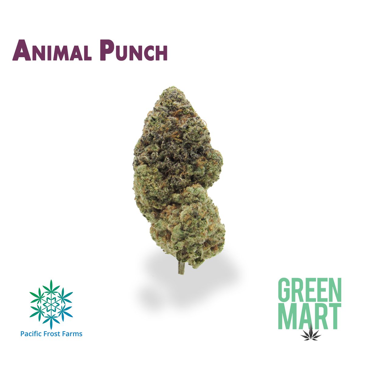 GM Dispensary | Beaverton – Oregon’s Best Dispensary