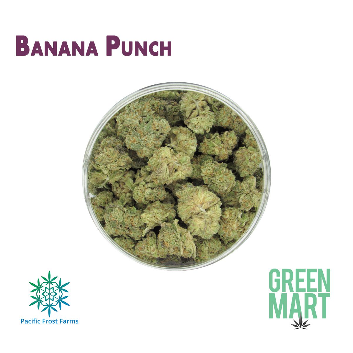 GM Dispensary | Beaverton – Oregon’s Best Dispensary