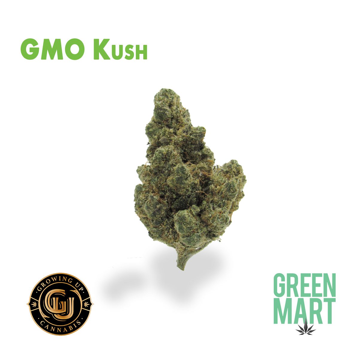 GM Dispensary | Beaverton – Oregon’s Best Dispensary