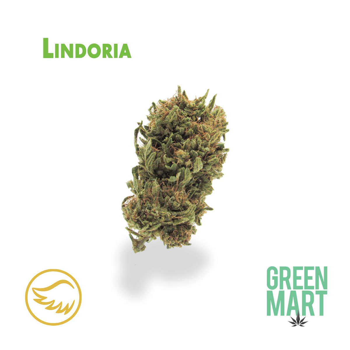 GM Dispensary | Beaverton – Oregon’s Best Dispensary