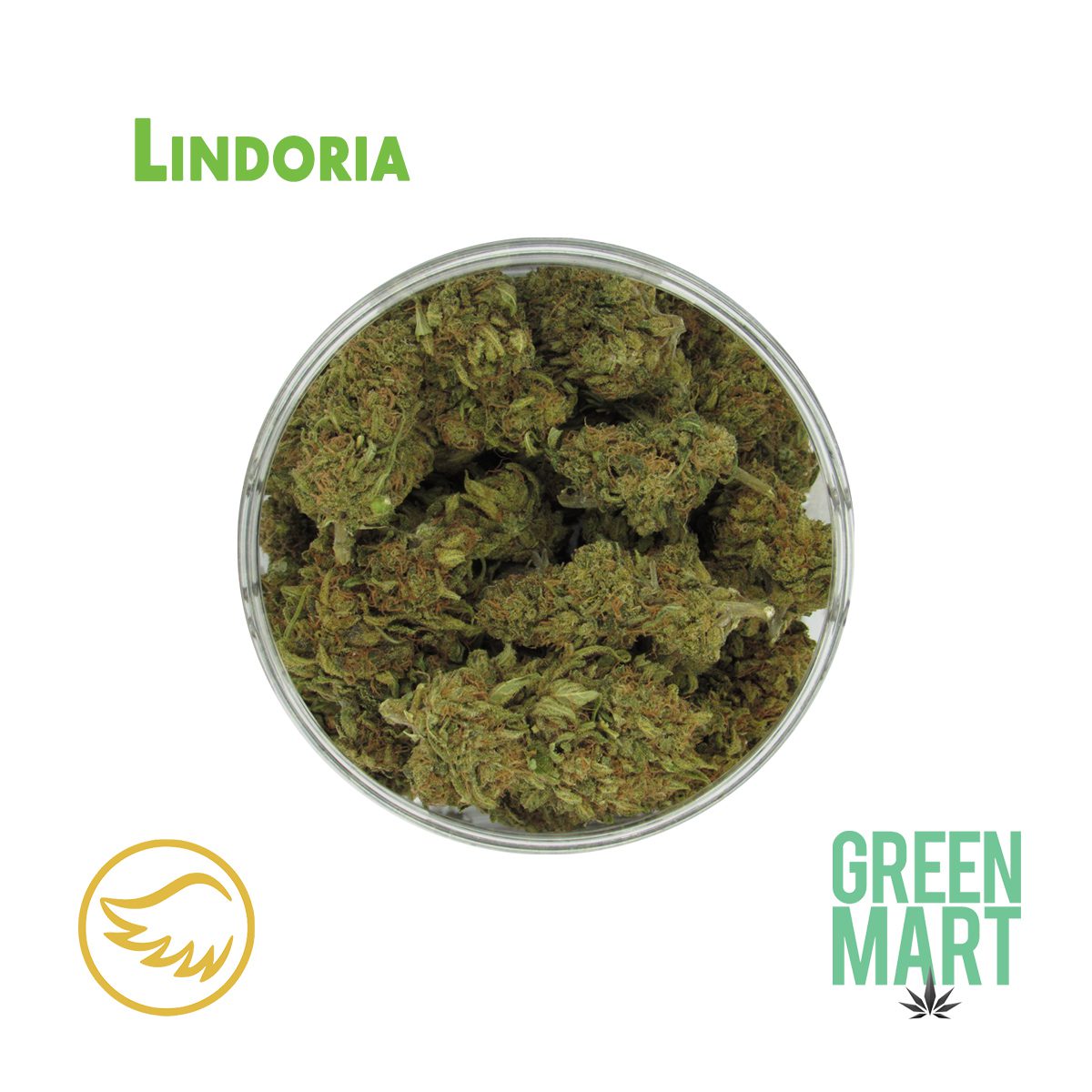 GM Dispensary | Beaverton – Oregon’s Best Dispensary