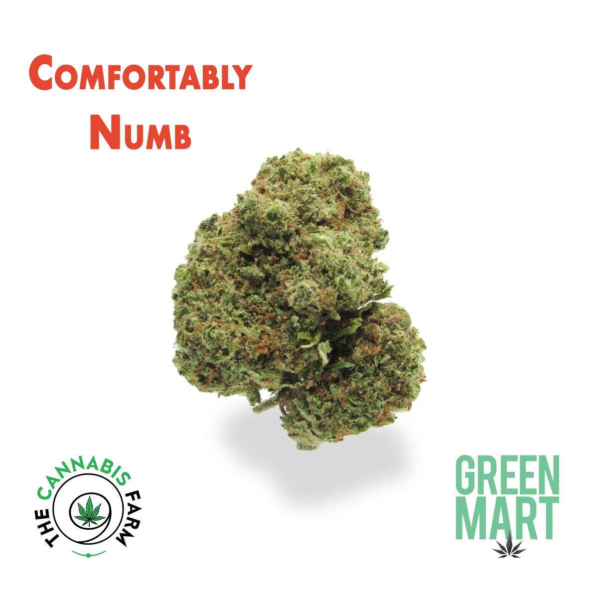 GM Dispensary | Beaverton – Oregon’s Best Dispensary