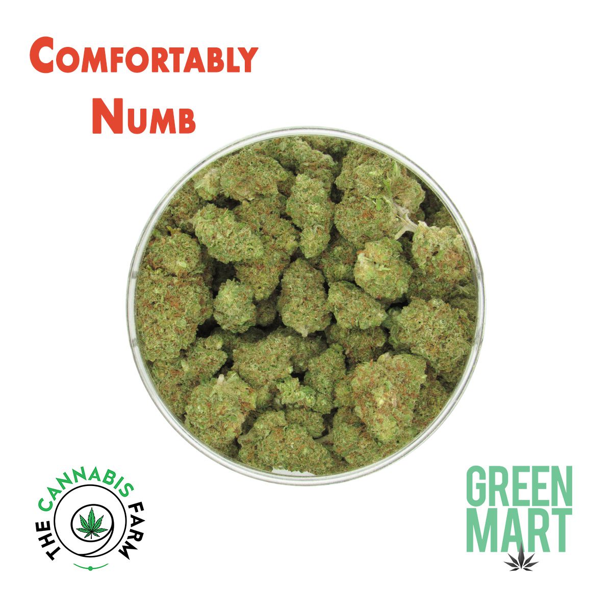 GM Dispensary | Beaverton – Oregon’s Best Dispensary